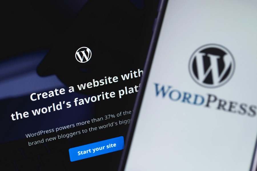 Pros and Cons of WordPress