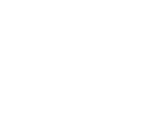 Ballymena Bid