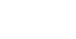 Blackfox Solutions logo - white