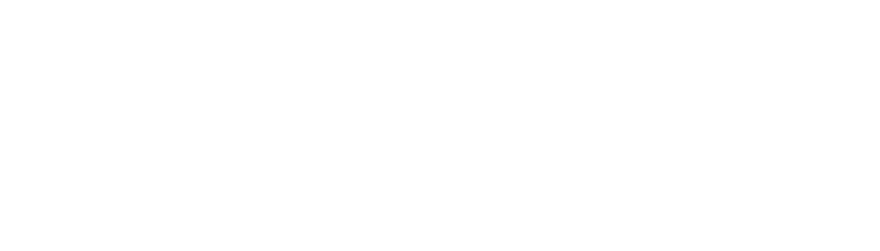 Carey Cleaning Machines logo - white