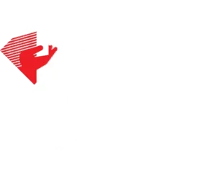 ifs group logo white
